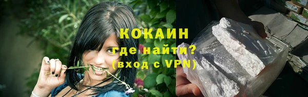 крисы Анива