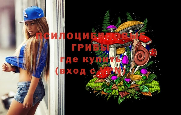 таблы Осташков