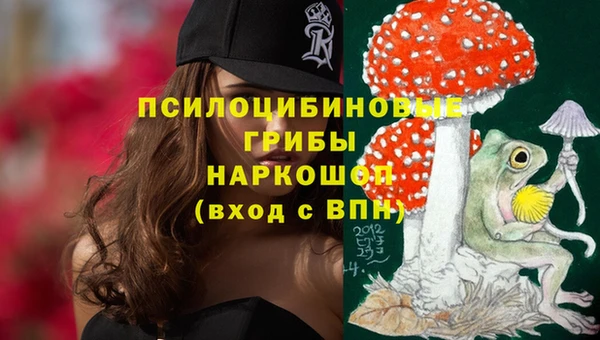 первитин Нязепетровск