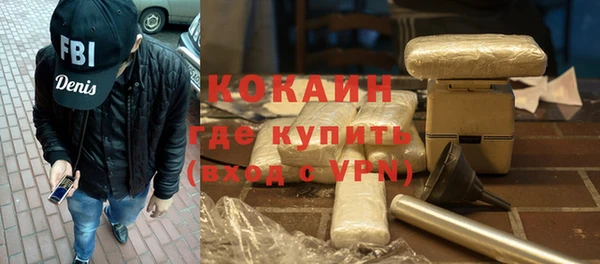 прущие грибы Балабаново