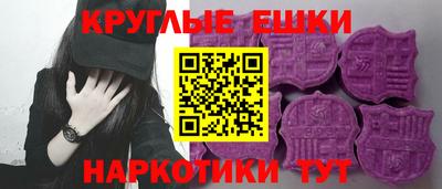 тгк Бийск