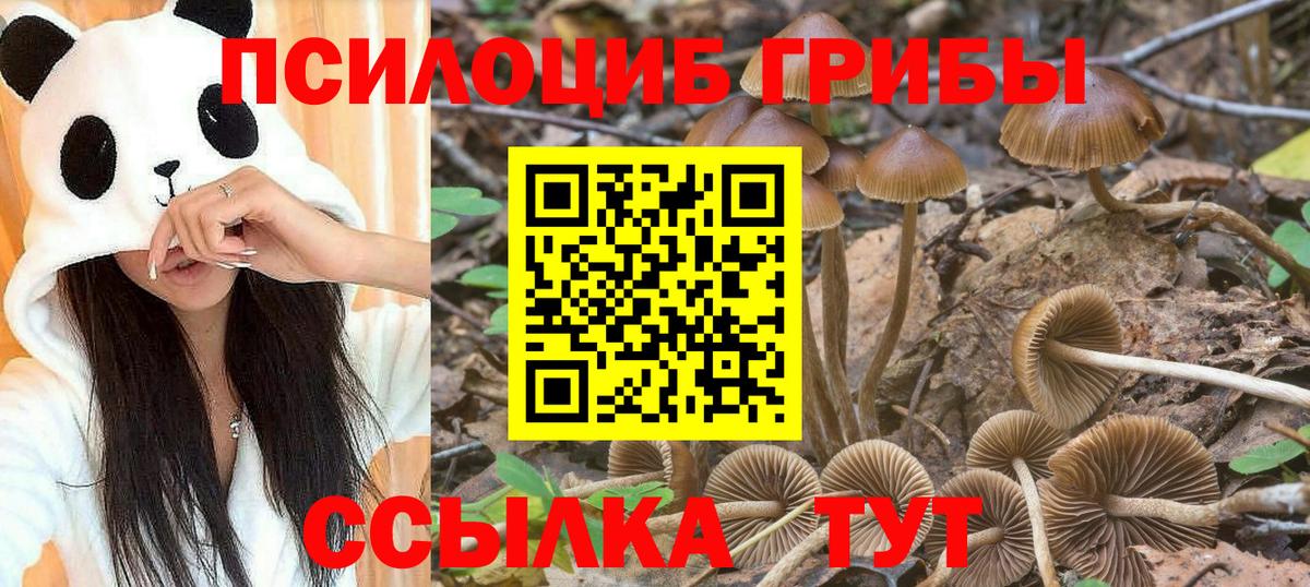 Лабытнанги  Псилоцибиновые грибы Magic Shrooms  Вход с VPN 