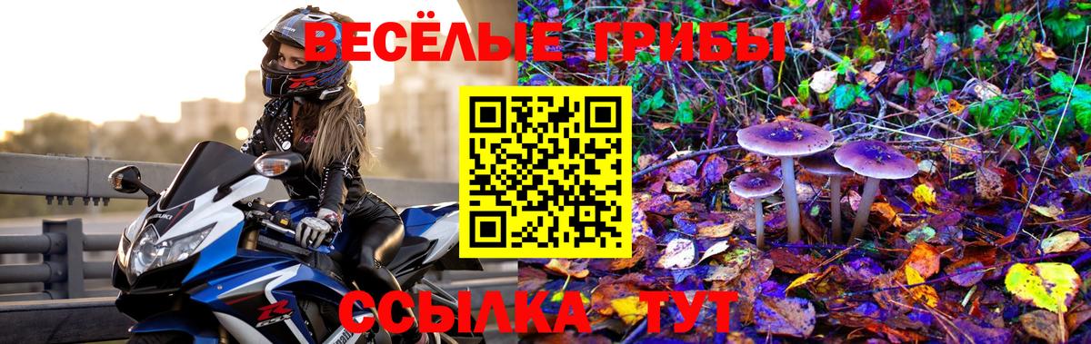 Галлюциногенные грибы Psilocybine cubensis Лабытнанги